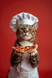 A cat in a white chef's hat with fresh pizza in its paws on a red background.