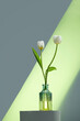 © Marc Tran/Stocksy - spring bouquet of white tulips flowers in the glass vase