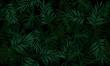 © wungkal - Tropical leaves seamless pattern.  exotic tropical foliage background. vintage floral.