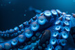 Octopus tentacles under water