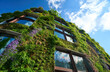 © Adam Sébire/Stocksy - Sustainable Vertical garden, living green wall  for urban cooling