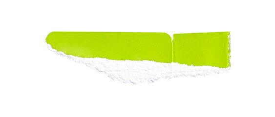 Wall Mural - snags of green paper against an isolated background