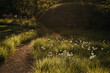 © Melissa Milis Photography/Stocksy - Path covered in sunshine