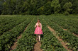 © Bethany Birnie/Stocksy - Girl in Strawberry field