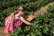 © Bethany Birnie/Stocksy - Girl in Strawberry field