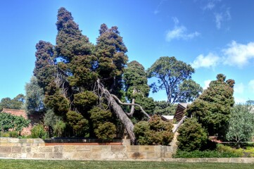 Canvas Print - Hobart, Tasmania, Australia