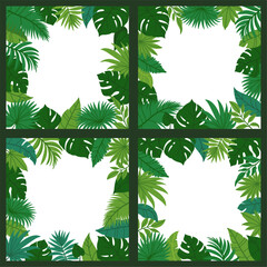 Jungle leaves frames. Cartoon tropical leaf background with foliage elements. Summer nature palm plants for poster, cards on white background. Vector collection