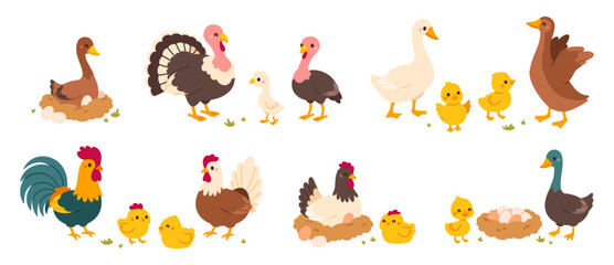 Wall Mural - farm bird. cartoon different domestic poultry walking on yard. cute chicken, rooster, nice ducks, tu