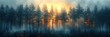 Beautiful Blurred Boreal Forest Background, HD, Background Wallpaper, Desktop Wallpaper