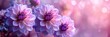 Beautiful Purple Flower Full Bloom Summer, HD, Background Wallpaper, Desktop Wallpaper