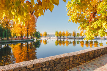 Poster - Fantastic morning promenade with autumn trees on the lake. Ternopil, Ukraine, Europe.