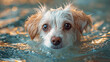 © LomaPari2021 - a white puppy swimming in the swimming pool, in the style of light,generative ai