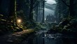 Fantasy forest in the light of a lantern. Panorama.