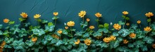 Green Clover Little Yellow Flowers, HD, Background Wallpaper, Desktop Wallpaper