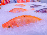 Fototapeta Tulipany - Close up of fresh fish on ice at the market