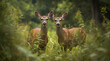 deer in the weeds in the afternoon.generative ai.
