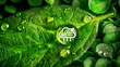 CO2 reducing icon on green leaf with water droplet for decrease CO2 , carbon footprint and carbon credit to limit global warming from climate change, Bio Circular Green Economy concept.