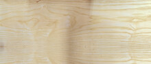 White Coastal Oak Color Wood Texture Abstract Background Illustration, Premium Wood Texture