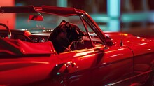 Within A Nostalgic 80s Ambiance, A Vintage Convertible Car Features A Black Panther Driver