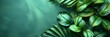 Side View Green Tropical Palm Leaf, HD, Background Wallpaper, Desktop Wallpaper