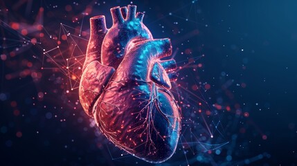 Poster - An abstract blue and red human heart. Anatomy of the heart. A medical concept for healthcare. Low poly style design. Geometric background. Wireframe light connections. Modern 3D graphic concept.