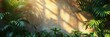 Summer Green Leaves Coconut Palm Shadow, HD, Background Wallpaper, Desktop Wallpaper