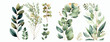Elegant Collection of Watercolor Greenery Illustrations Featuring Various Plant and Leaf Types, Perfect for Invitations, Decor