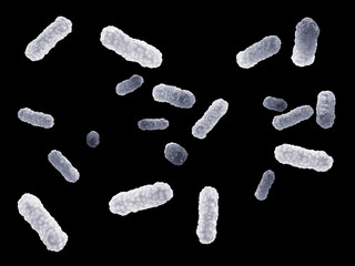 Wall Mural - White intestinal bacteria ( Salmonella ) isolated on black. Bacterial gut microbiota and infection