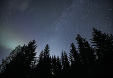 Spruce Trees Under Clear Night Sky With Stars 
