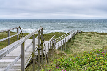 Wall Mural - wooden boardwalk to the beach, rantum, sylt, schleswig-holstein, germany