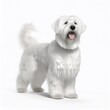© ArtPixel-Portfolio - White shaggy dog, 3D illustration on a white background.