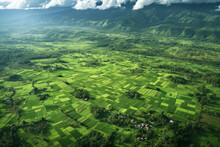 A Birds Eye View Of A Valley Covered In Vibrant Green Vegetation Under A Clear Sky