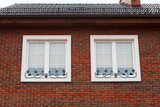 Fototapeta Na sufit - Two windows in a red brick house