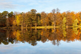 Fototapeta Na sufit - The autumn forest is reflected in the lake