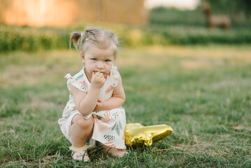 Happy birthday 2 years in green grass outdoors in spring garden with bokeh. Summer portrait of cute child in park. Funny kid play balloons two year in field at sunset. Beautiful girl walking in nature