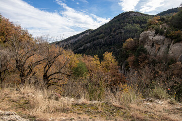 Wall Mural - a scenic mountainous landscape with sparse dry vegetation and trees under a partly cloudy sky