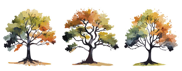 Wall Mural - Set of three watercolour painted autumn trees