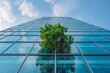 a tree growing out of a glass building