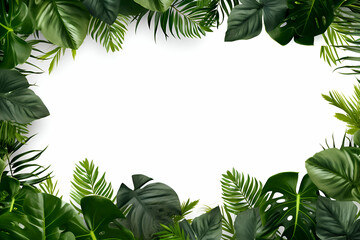 Naklejka na meble Tropical leaves on white background with copy space for text.