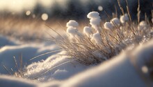 dry grass under the cover of fluffy snow close up