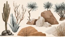 Desert Collection Dry Plants And Rocks Set Isolated On Background