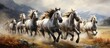 A group of majestic white horses are seen running energetically across a vast open field. The horses are galloping freely, their powerful strides creating a captivating sight as they move together in