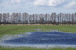 überschwemmte Felder