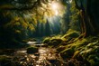Forest in wonderful light with flowing river