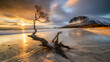 Baumstumpf im Kalten Meer bei Sonnenuntergang
