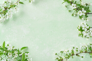 Wall Mural - Spring Easter background. Passover blooming white apple or cherry blossom on green background. Happy Passover background. World environment day. Easter, Birthday, womens day holiday. Top view Mock up.