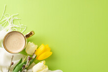 Spring Bliss Concept: Top View Snapshot Of A Warm Cappuccino, Fresh Tulips, Pussy Willow And Light Wrap On A Pastel Green Background, Leaving Space For Wording Or Ads