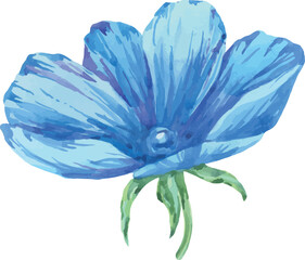Wall Mural - Blue anemone flower. Watercolor drawing by hand. Spring flower, bright, blue.