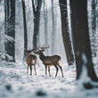 Hirsche im verschneiten Wald