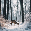 Hirsch im verschneiten Wald